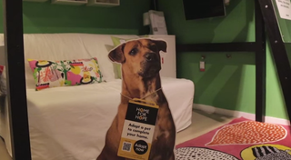 Illustration for article titled Ikea Is Pretty Sure You Need a Puppy to Go With That Billy Bookcase